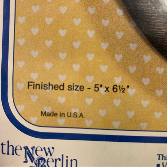 Counted Cross Stitch Kit frog "have a hoppy Day" craft NEW made in USA - Picture 3 of 11